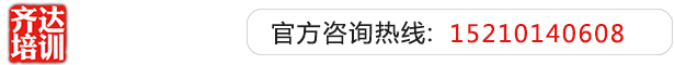 大骚鸡巴电工操贱货骚逼齐达艺考文化课-艺术生文化课,艺术类文化课,艺考生文化课logo